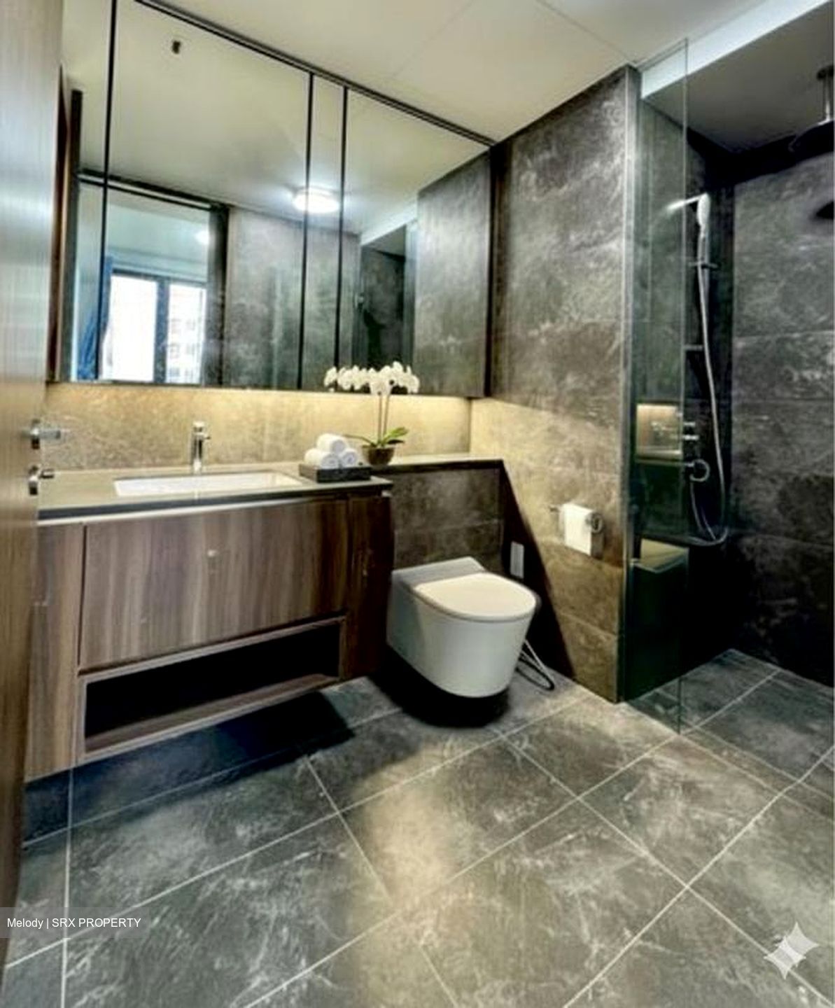Kopar At Newton (D9), Apartment #515313001